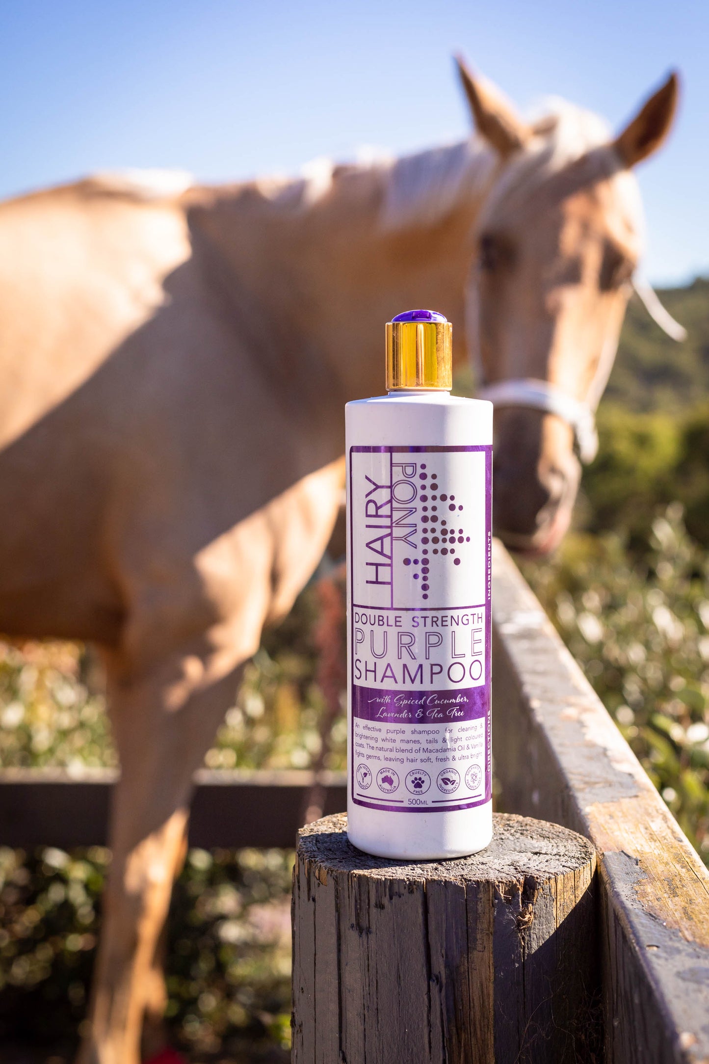 Double Strength Purple Shampoo - 500ml