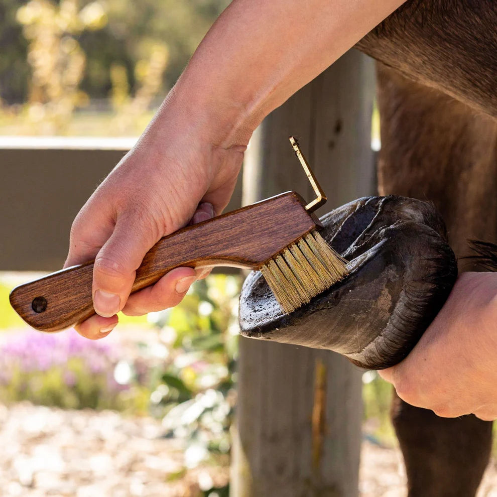 Hufkratzer aus Holz mit Kupferborsten