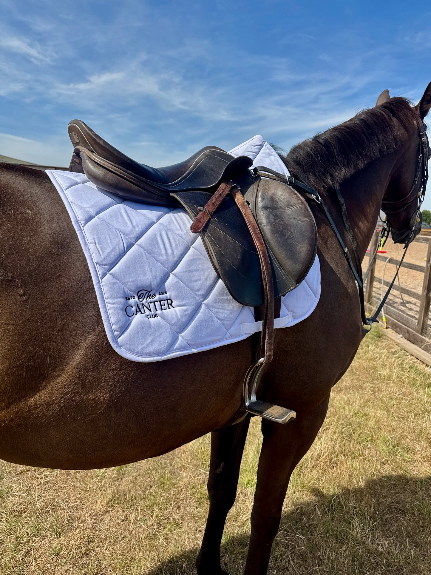 White Saddle Pad