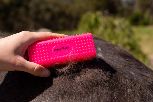 Horse Grooming Block