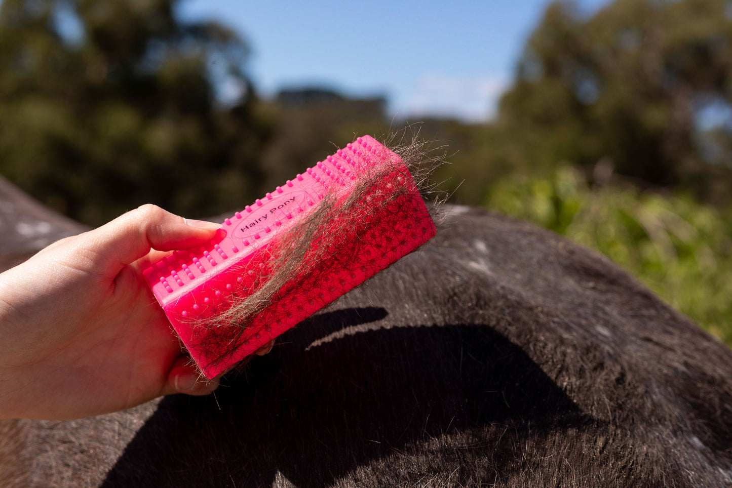 Horse Grooming Block